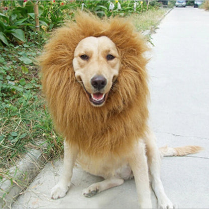 Cute Pet Costume Lion Mane Winter