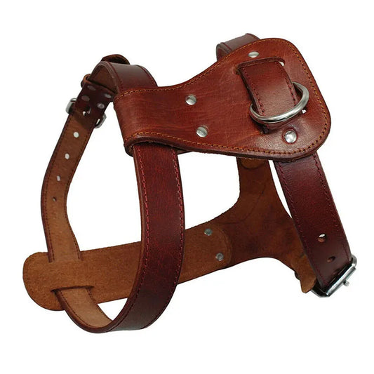 Genuine Leather Dog Harness