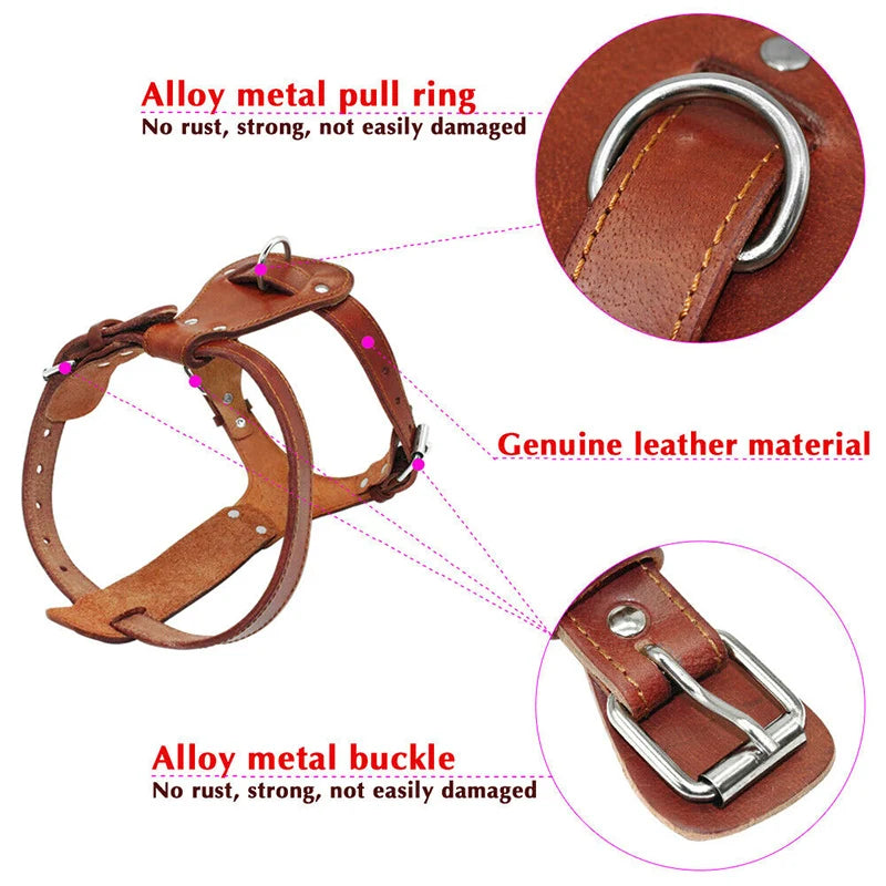 Genuine Leather Dog Harness