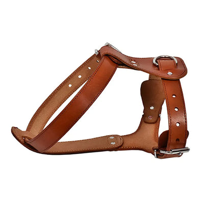 Genuine Leather Dog Harness