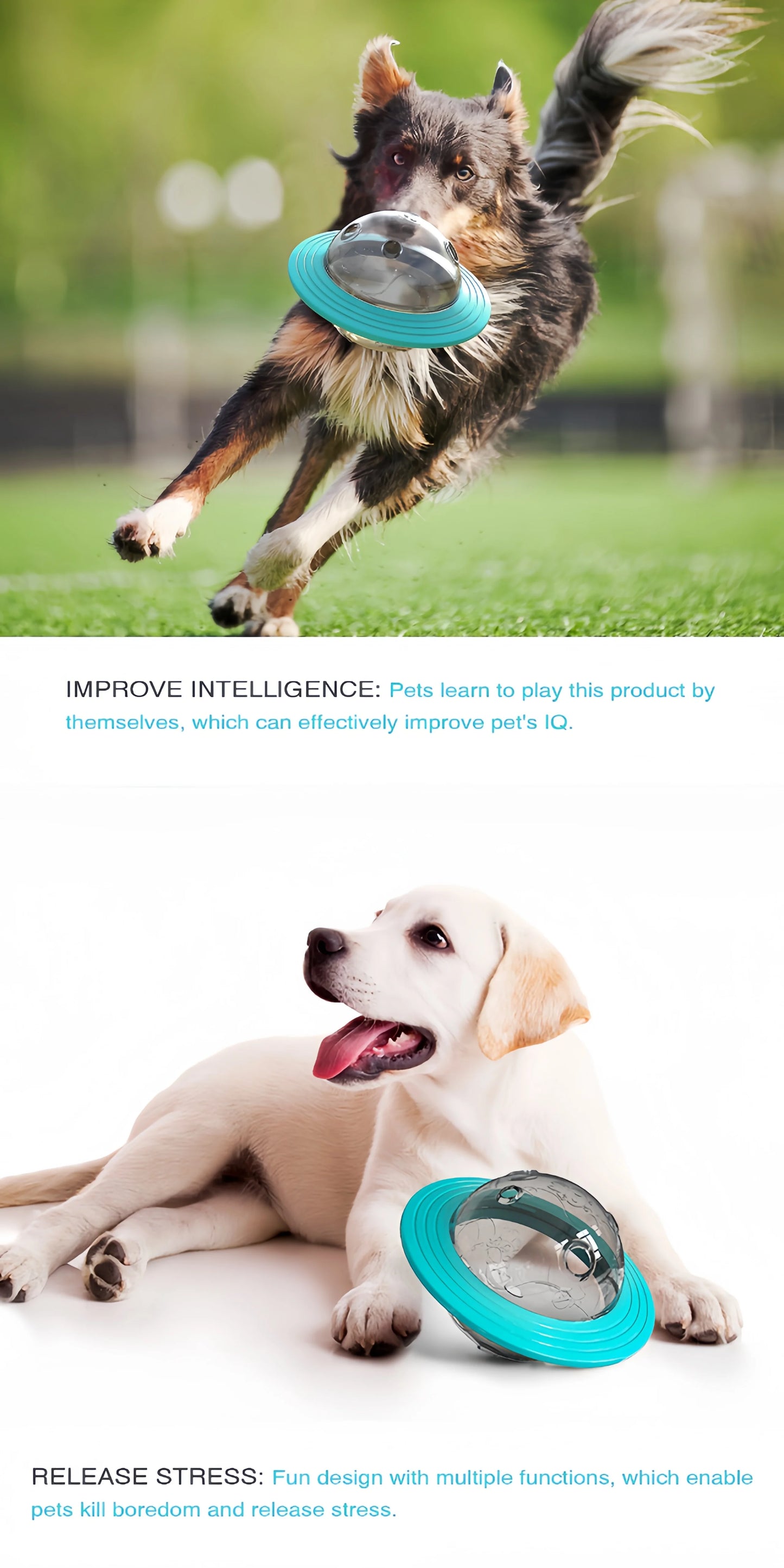 Increase Intelligence Sturdy Durable Interactive Pet Ball Toy