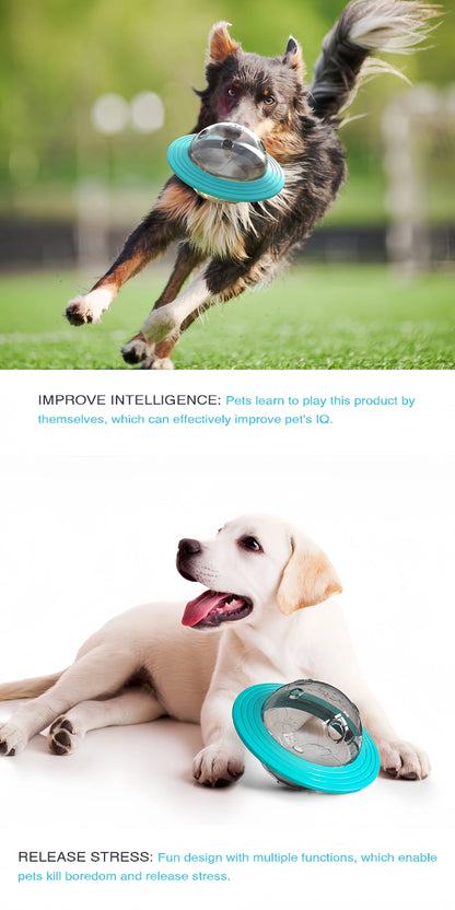 Increase Intelligence Sturdy Durable Interactive Pet Ball Toy