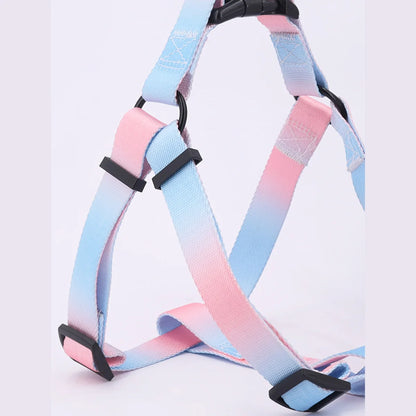 Pet harness set with leash