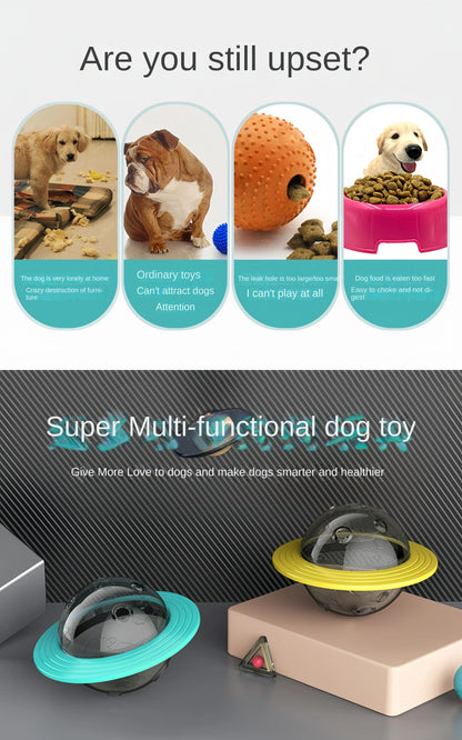 Increase Intelligence Sturdy Durable Interactive Pet Ball Toy