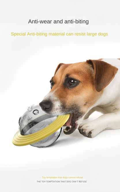 Increase Intelligence Sturdy Durable Interactive Pet Ball Toy