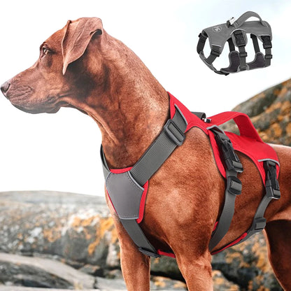 No Pull Adjustable Reflective Waterproof Harness With Handle